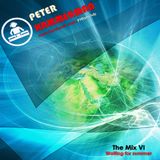 Peter Hammerman - The Mix VI (Waiting for summer)