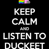 Duckeet - Martin Garrix Mix