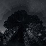 The Soul of Oneness Vol. 4 | SCV Podcasts Vol 209