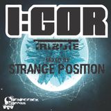 I:GOR tribute mixed by Strange Position