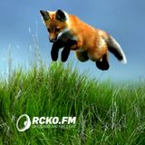 FUR FRICTION RADIO SHOW 014 - Addamz