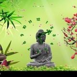 Shamanic Forest Chants 31-8-2013