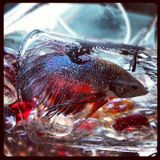 Mannie's Spring 2012 Mix