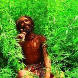 RastaGangsta - Free Chilling