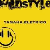 PULS_Kammerflimmern_Wildstyle_DJ_Show_August_2013