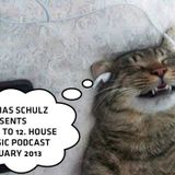 ONE TO 12. HOUSE MUSIC PODCAST JANUARY 2013 - MIXED BY TOBIAS SCHULZ