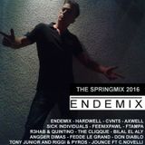 ENDEMIX - THE SPRINGMIX 2016