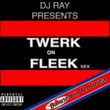 Twerk on Fleek Dj Ray Mix