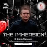 Dj Endrio Pismenniy – The Immersion (Mix 11)
