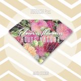 FLOWERS FLAVOUR'S HOUSE NATURE PT.6