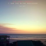 The indie update's i saw you blink radioshow / june 2013