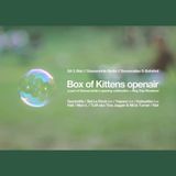 Box of Kittens openair in Berlin w/ GummiHz, Sid Le Rock, Yapacc, Hali & Man-L - May 3, 2014
