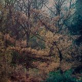 Fall 2014 Mix