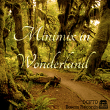 DCFTD minimix in Wonderland