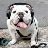 DEEP DEEP DOG SHIT VOL 2