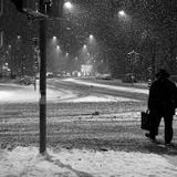White Nights