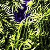 Waldcore Fee (second part)