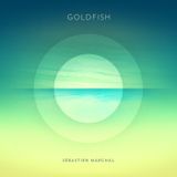 #352: Sebastien Marchal / Goldfish