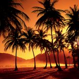 Enjoy and Be Educated #1422: Palm Trees and Pineapples, Pt. 2 (Hip-Hop, Hawaiian, Funk, Alternative)