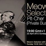 Pit-Cher guestmix to 28Meow's Selection 22.04.2012.