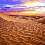 Desert Mission