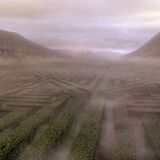 Labyrinth