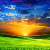 Remeddie-Sun After Rain(Final Mixdown)