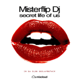 Secret Life Of Us