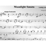 Beethoven Moonlight Sonata (Sonata al chiaro di luna)
