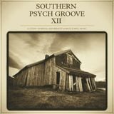 Southern Psych Groove XII