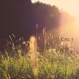 C70.1