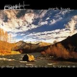 Piet Kaempfer - Psychedelic Tunes 2