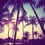 Summer 2014 Mix