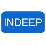 INDEEP vol. 1, radioshow by RXD
