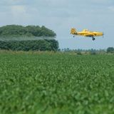 2015-08-27│Experiencia de Godoy y Arequito: agroquímicos amigables│Luis Carrancio, del INTA oliveros