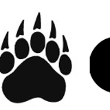 NovemBear