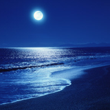 moonlight