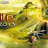 B.e.n. - Tree of Life Festival 2013 / Special 5h Singularity set - Part 4 / Quantum Leap
