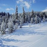 Bump That Winter Groove!