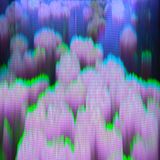 GLITCH Beats, dub & hip hop by DJ Bambooh