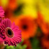 For all women