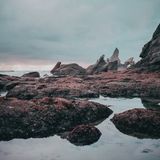 IndigoDreamsVol10