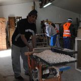 Informe Código Procesal y Penal
