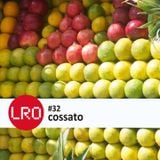 Life Force Radio Observatory #32 With Cossato