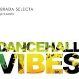 Brada Selecta - Dancehall Vibes 2012