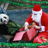 12 Days of miXMAS: Day 10 (2015)
