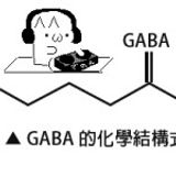 gabba gabba mix