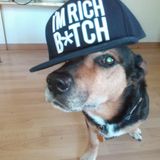 DJ Tec-9 - Deutschrap meets Reggae