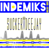 InDeMiks 1 2016 Hard Edition