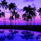 Chill House/Dance Mix